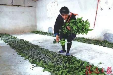 广东连南村民爆料视频,揭秘当地神秘事件